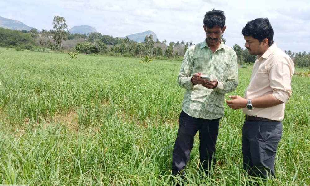 ಮುಂಗಾರು ಬೆಳೆ ಸಮೀಕ್ಷೆ: ದೊಡ್ಡಬಳ್ಳಾಪುರದಲ್ಲಿ ಶೇ.52.76 ಪೂರ್ಣ.. ಆಕ್ಷೇಪಣೆ ಸಲ್ಲಿಸಲು ಅಂತಿಮ ದಿನಾಂಕ ಪ್ರಕಟ