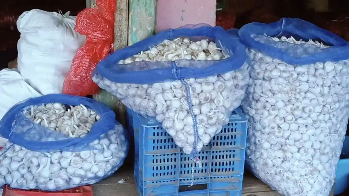 garlic theft: ಬೆಳ್ಳುಳ್ಳಿ ಕಳ್ಳತನ ಮಾಡಿಕೊಂಡು ಹೋದ ಕಿಲಾಡಿಗಳು..!