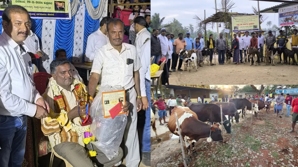 Doddaballapura: ಕೂಗೋನಹಳ್ಳಿಯಲ್ಲಿ ಮಿಶ್ರ ತಳಿ ಕರುಗಳ ಪ್ರದರ್ಶನ..! ಪ್ರಶಸ್ತಿ ವಿತರಣೆ