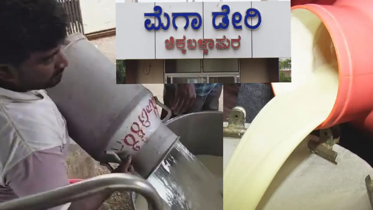 Milk ಡೈರಿ ಸಿಬ್ಬಂದಿಯಿಂದಲೇ ಹಾಲಿಗೆ ನೀರು.. ಕಲಬೆರೆಕೆ ಮಾಡಿ ವಂಚನೆ..!