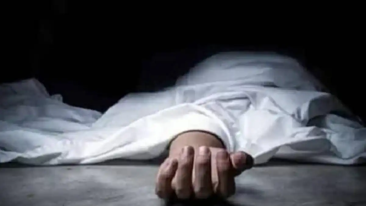 news ನ್ಯೂಸ್ - ShareChat