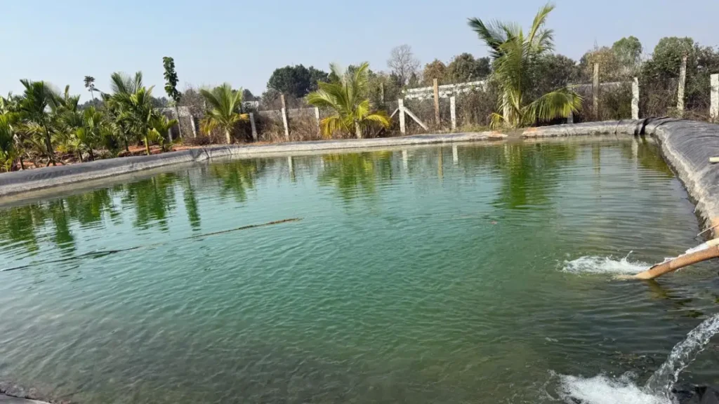 Construction of wire fence/compound for agricultural pond is mandatory