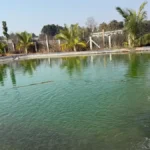 Construction of wire fence/compound for agricultural pond is mandatory