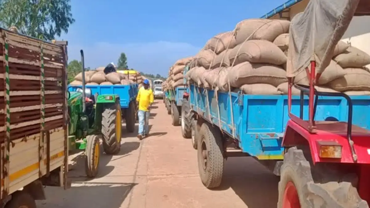 ರೈತರಿಗೆ ಗುಡ್‌ನ್ಯೂಸ್: ರಾಗಿ ಖರೀದಿ ಪ್ರಮಾಣ ಗರಿಷ್ಠ 30 ಕ್ವಿಂಟಾಲ್ ಗೆ ಹೆಚ್ಚಳ