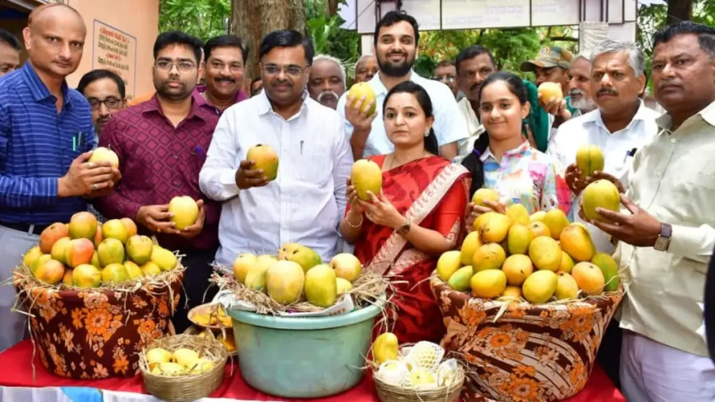 Mango purchasing center established in Bengaluru district.. Price fixing