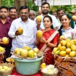 Mango purchasing center established in Bengaluru district.. Price fixing