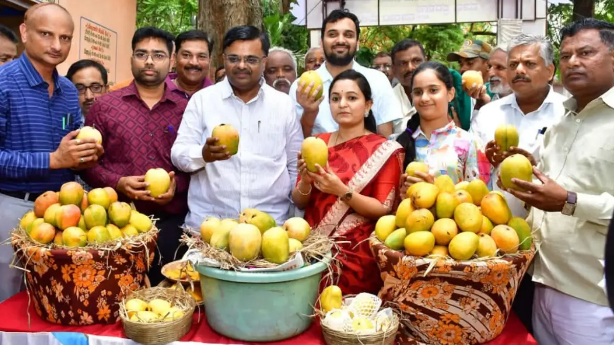 ರೈತರಿಗೆ ಗುಡ್‌ನ್ಯೂಸ್: ಮಾವಿಗೆ ಬೆಂಬಲ ಬೆಲೆ ಘೋಷಣೆ