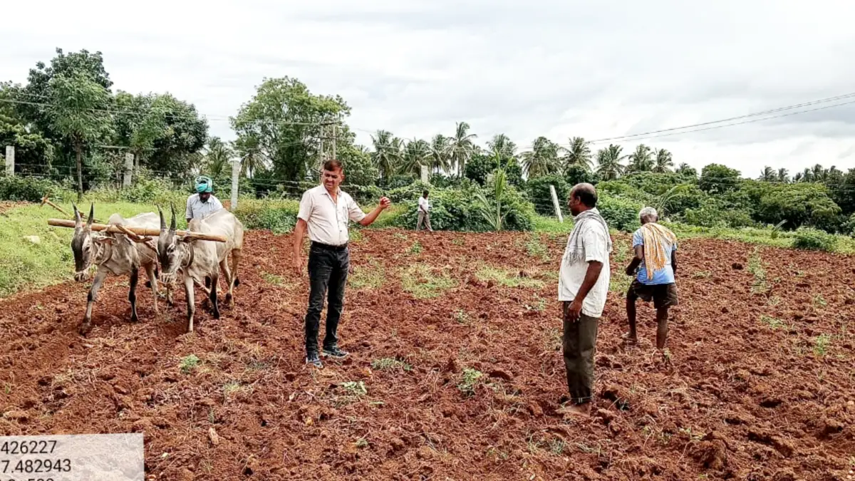 ದೊಡ್ಡಬಳ್ಳಾಪುರದಲ್ಲಿ ವಾಡಿಕೆ ಮೀರಿದ ಮಳೆ: ಗರಿಗೆದರಿದ ಕೃಷಿ ಚಟುವಟಿಕೆ