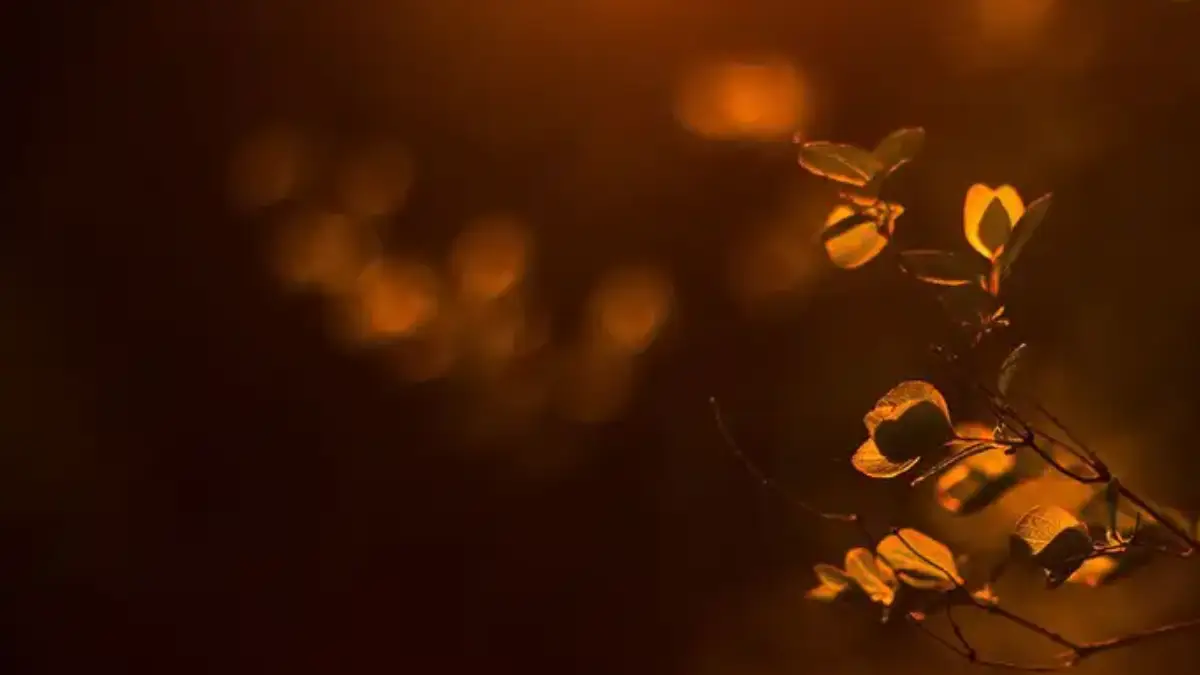 ಹರಿತಲೇಖನಿ ದಿನಕ್ಕೊಂದು ಕಥೆ: ಮನಸ್ಸು