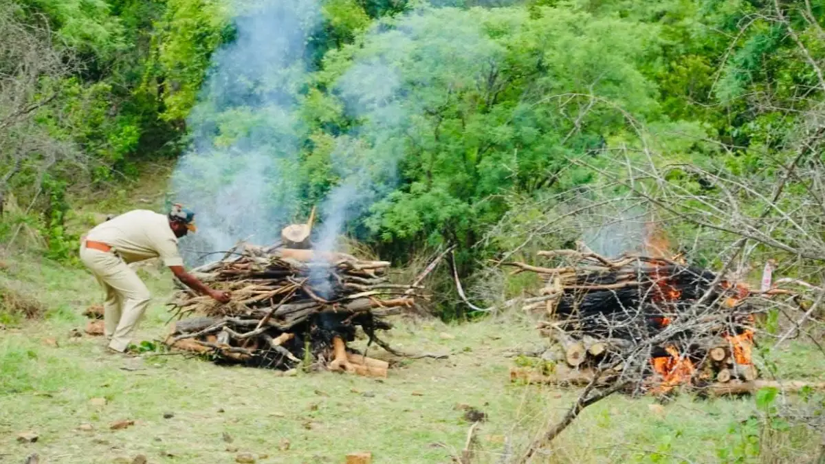 ಅಪರೂಪದ ಹುಲಿ ಕುಟುಂಬದ ಅಂತಿಮ ಸಂಸ್ಕಾರ; ದುಷ್ಕರ್ಮಿಗಳ ಸುಮ್ಮನೆ ಬಿಡಲ್ಲವೆಂದ ಸಚಿವ