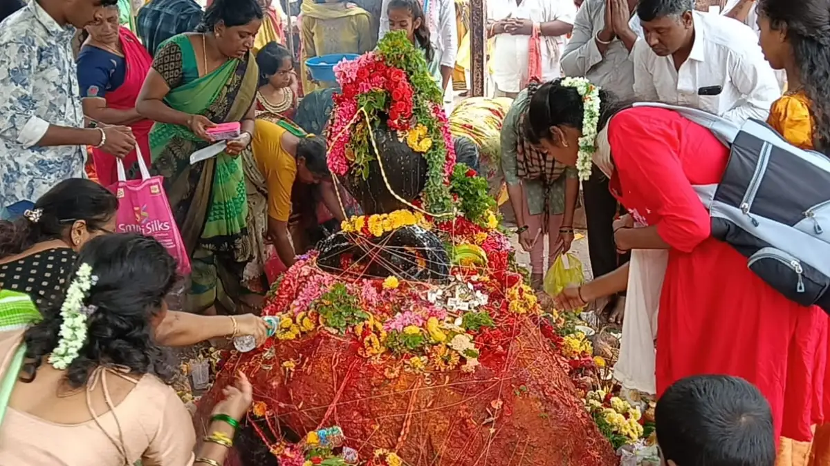 ಶ್ರಾವಣ ಮಾಸದ ಮೊದಲ ಹಬ್ಬ ನಾಗರಪಂಚಮಿ: ಘಾಟಿ ಸುಬ್ರಹ್ಮಣ್ಯದಲ್ಲಿ ವಿಶೇಷ ಪೂಜೆ, ತನಿಯೆರೆಯುತ್ತಿರುವ ಭಕ್ತರು| Video