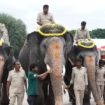 Mysore Dasara officially launched on September 22nd