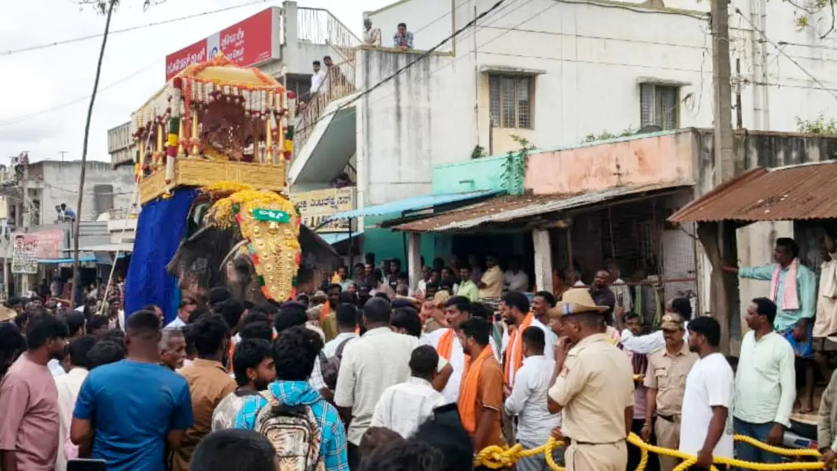 ದೊಡ್ಡಬಳ್ಳಾಪುರ: ಆನೆ ಬಂತೊಂದಾನೆ, ಯಾವೂರ ಆನೆ..? ಇಲ್ಲಿಗ್ಯಾಕೆ ಬಂತೂ..!