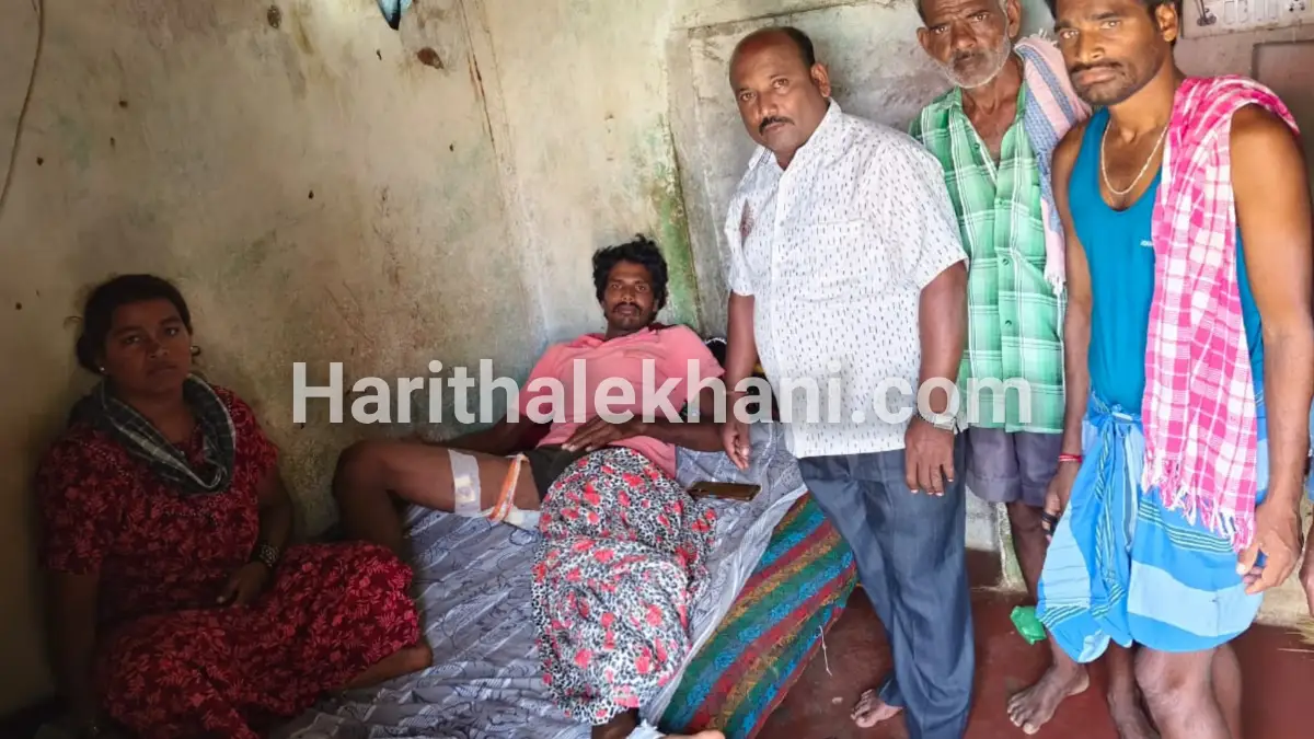 ದೊಡ್ಡಬಳ್ಳಾಪುರ: ಕರಡಿ ದಾಳಿ.. ರೈತನಿಗೆ ಗಂಭೀರ ಪೆಟ್ಟು