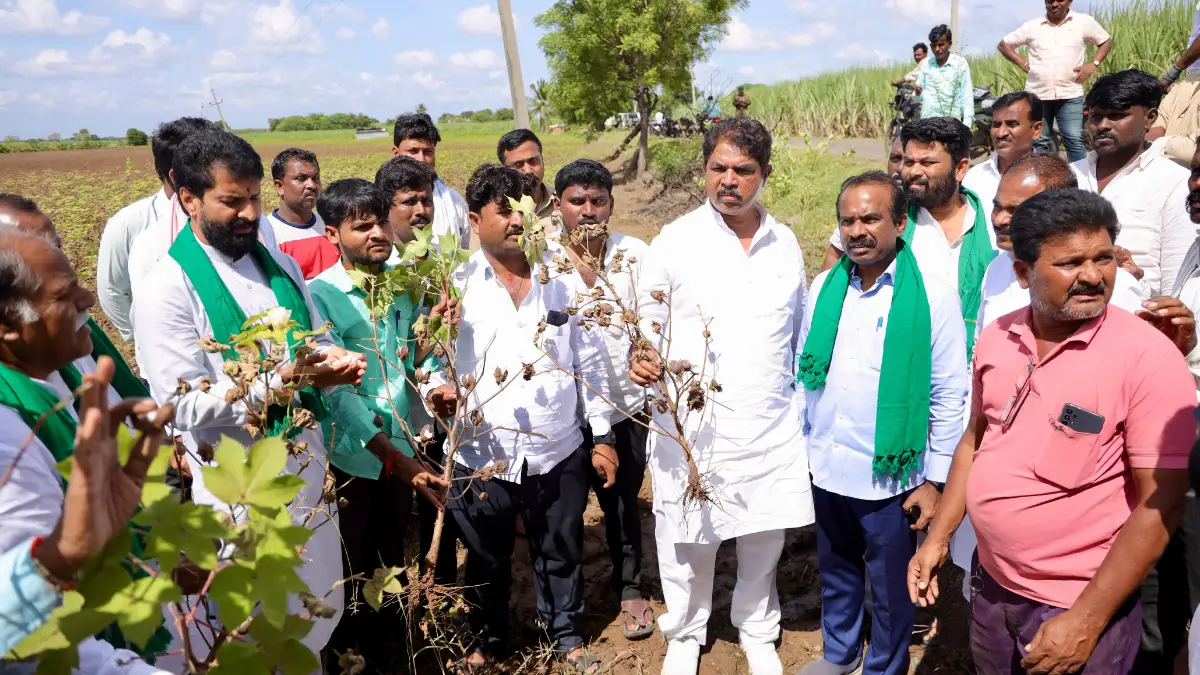 ಬಿಜೆಪಿಯಿಂದ ಹಾನಿ ಪರಿಶೀಲನೆ, ಸರ್ಕಾರದಿಂದ ಯಾರೂ ಬಂದಿಲ್ಲ: ಆರ್‌.ಅಶೋಕ ವಾಗ್ದಾಳಿ