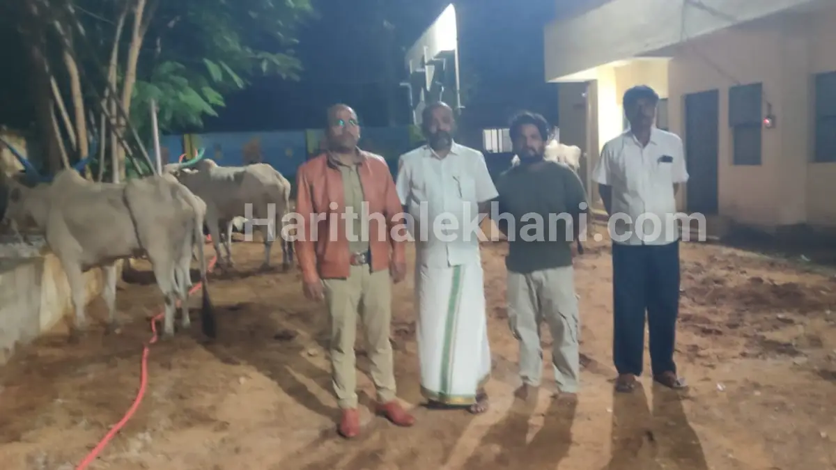 ದೊಡ್ಡಬಳ್ಳಾಪುರ: ಗೋವುಗಳ ಅಕ್ರಮ ಸಾಗಾಟ.. ಕ್ಯಾಂಟರ್ ತಡೆದು ಪೊಲೀಸರಿಗೊಪ್ಪಿಸಿದ ಗ್ರಾಮಸ್ಥರು
