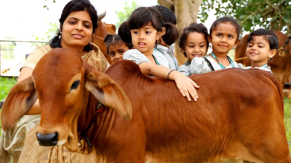 ಗುಡ್ಮಾರ್ನಿಂಗ್ ನ್ಯೂಸ್: ದೇವಾಲಯಗಳಲ್ಲಿ ಇಂದು ಗೋಪೂಜೆ