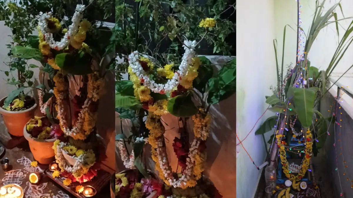 ದೊಡ್ಡಬಳ್ಳಾಪುರ: ಶ್ರದ್ಧಾ ಭಕ್ತಿಯಿಂದ ತುಳಸಿ ಹಬ್ಬ ಆಚರಣೆ