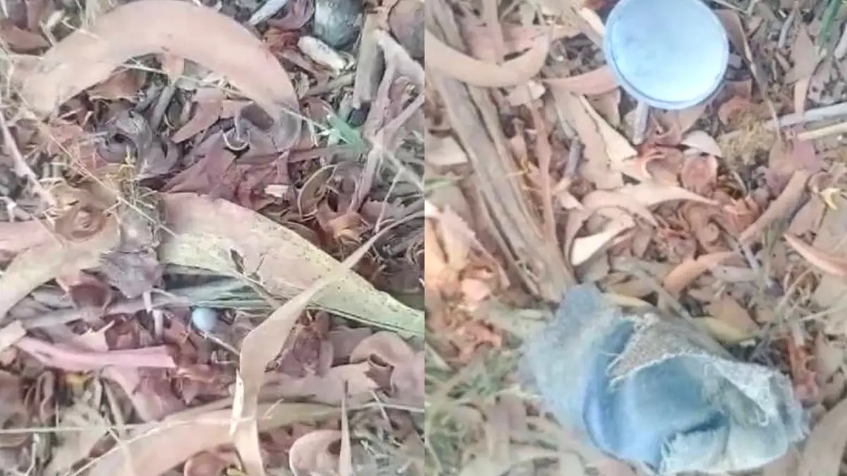 ದೊಡ್ಡಬಳ್ಳಾಪುರ: ನಾಡ ಬಾಂಬ್ ಸ್ಪೋಟ.. ಮಹಿಳೆಗೆ ಗಂಭೀರ ಪೆಟ್ಟು..!