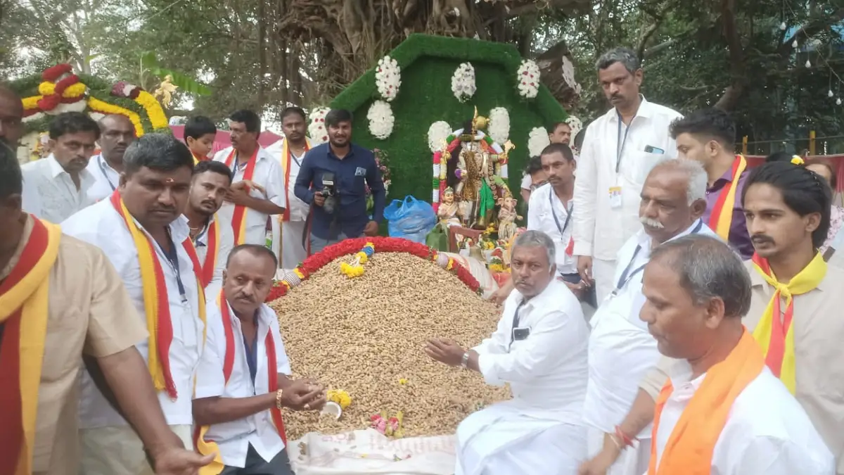 ದೊಡ್ಡಬಳ್ಳಾಪುರದಲ್ಲಿ ಕಡಲೇಕಾಯಿ ಪರಿಷೆ ಸಂಭ್ರಮ