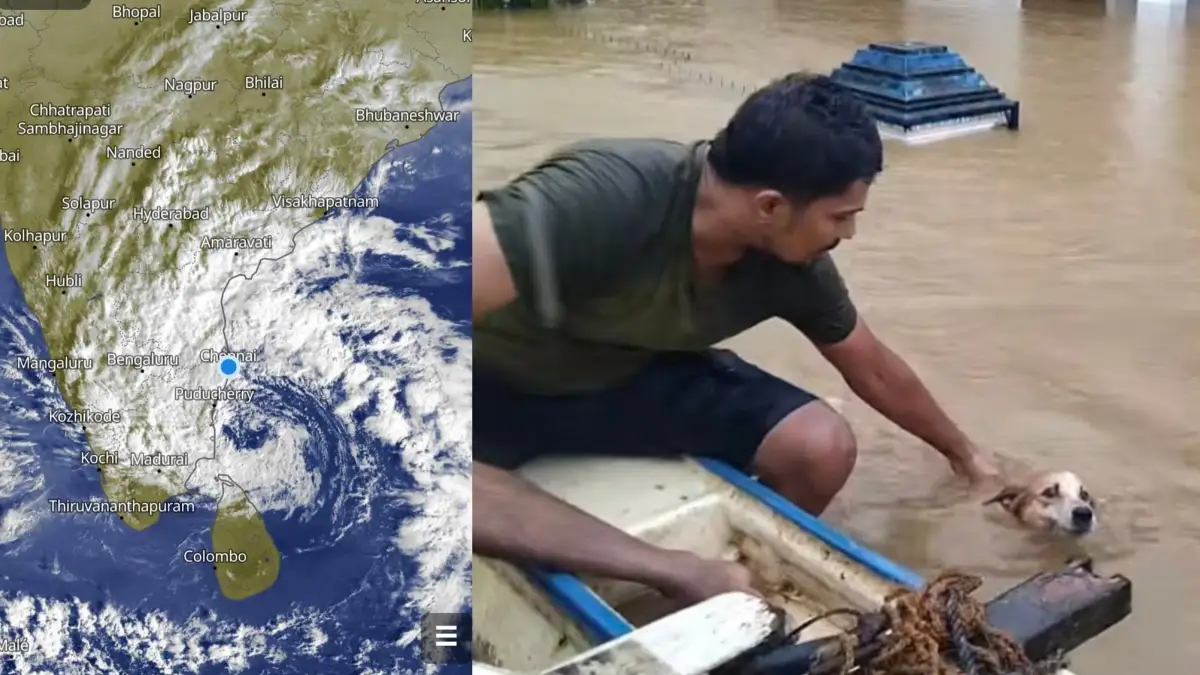 ದಿತ್ವಾ ಅಬ್ಬರ.. ಶ್ರೀಲಂಕಾ ತತ್ತರ: ದೊಡ್ಡಬಳ್ಳಾಪುರದಲ್ಲಿ ಚುಮುಚುಮು ಚಳಿ