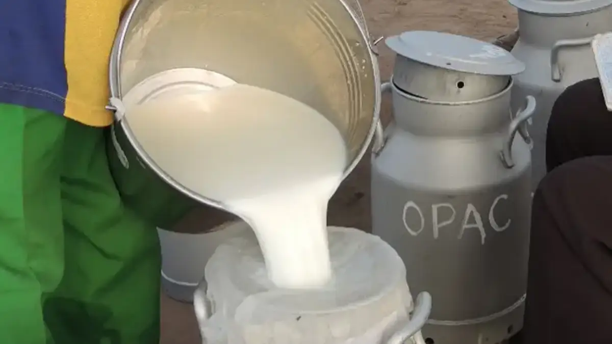 ಗುಡ್ಮಾರ್ನಿಂಗ್ ನ್ಯೂಸ್: ಹಾಲಿನ ಪ್ರೋತ್ಸಾಹಧನ ಹೆಚ್ಚಳ