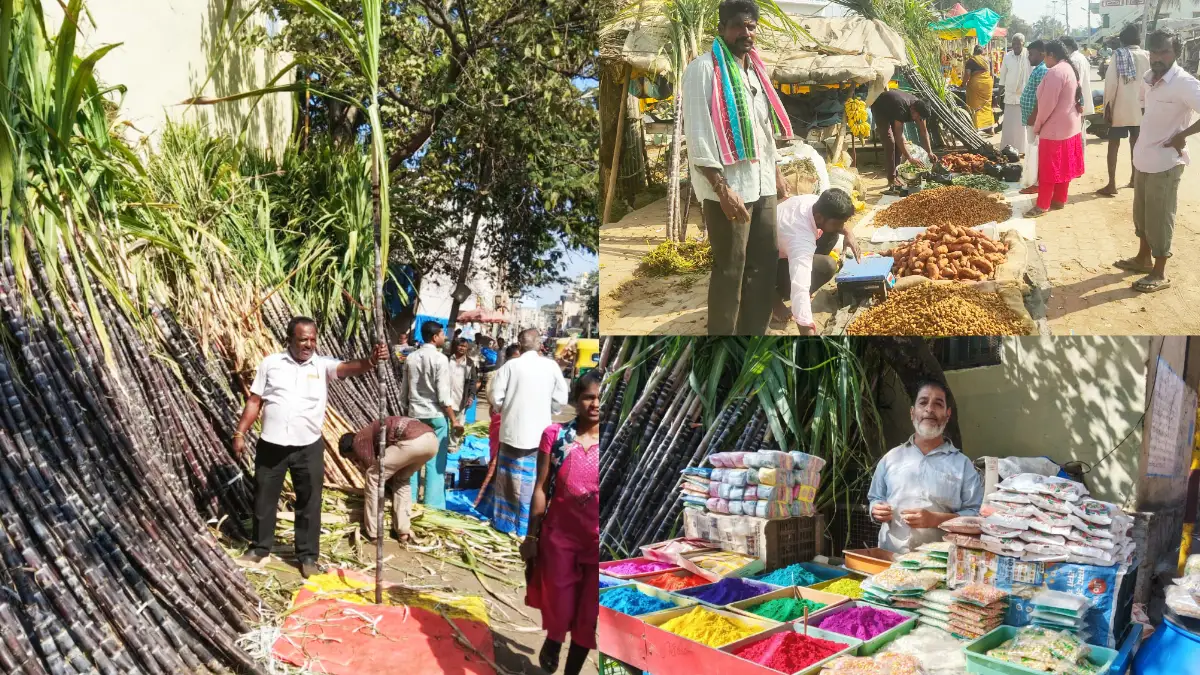 ದೊಡ್ಡಬಳ್ಳಾಪುರ: ಸಂಕ್ರಾಂತಿ ಸ್ವಾಗತಿಸಲು ಸಂಭ್ರಮದ ಸಿದ್ಧತೆ.. ಬೆಲೆ ಕಡಿಮೆ, ವಹಿವಾಟು ಜೋರು