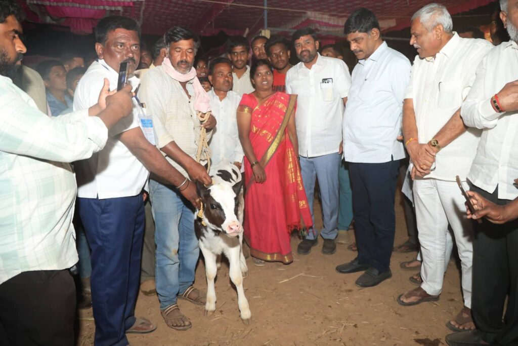 ಕೊನಘಟ್ಟದಲ್ಲಿ ಹಾಲು ಕರೆಯುವ ಸ್ಪರ್ಧೆ: ಡಿ.ಕೆ. ಸುರೇಶ್ ಚಾಲನೆ