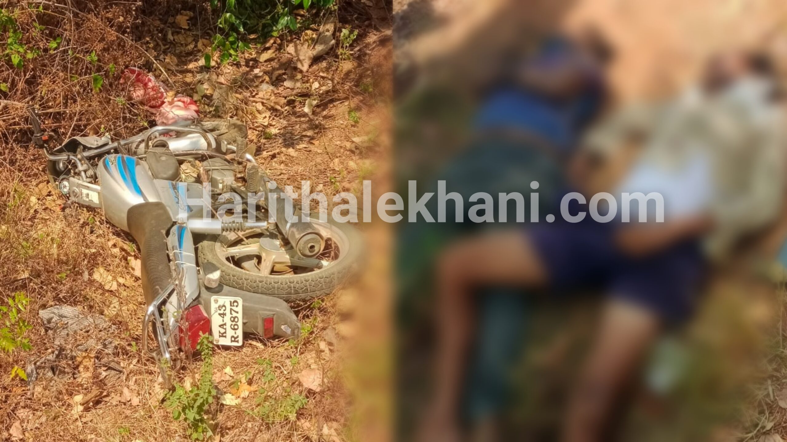 ದೊಡ್ಡಬಳ್ಳಾಪುರ: ಮರಕ್ಕೆ ಬೈಕ್ ಡಿಕ್ಕಿ.. ಸ್ಥಳದಲ್ಲಿಯೇ ಸವಾರರ ದುರ್ಮರಣ..!