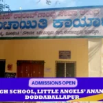 Determination of the number of elected members of Grama Panchayats