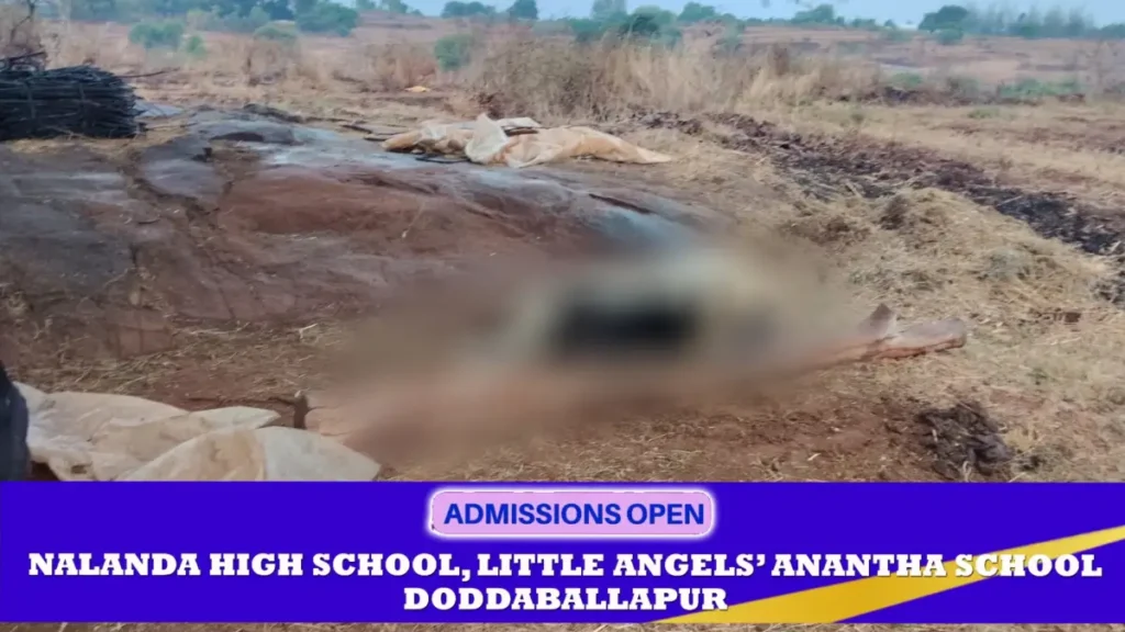 Doddaballapur: 2 cows killed by lightning..!