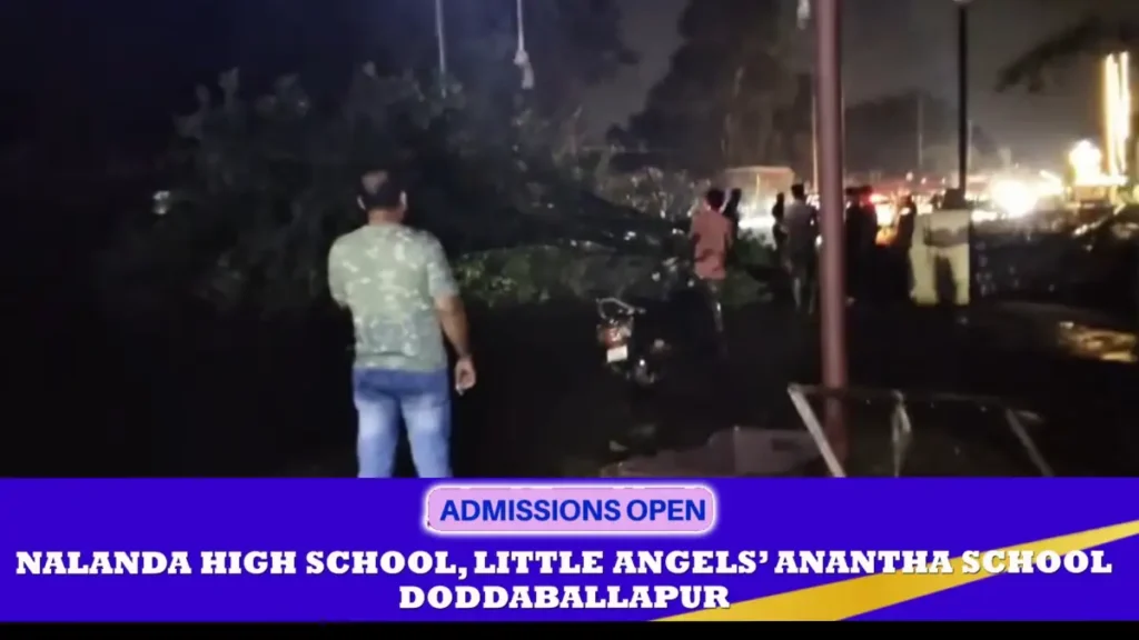 Heavy rain in Doddaballapur.. Tree falls, causing traffic jam