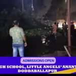 Heavy rain in Doddaballapur.. Tree falls, causing traffic jam